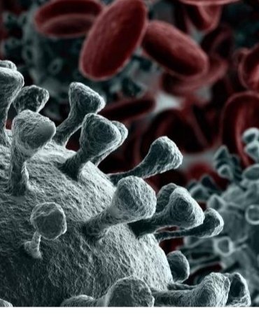 Screenshot_20221124_100256