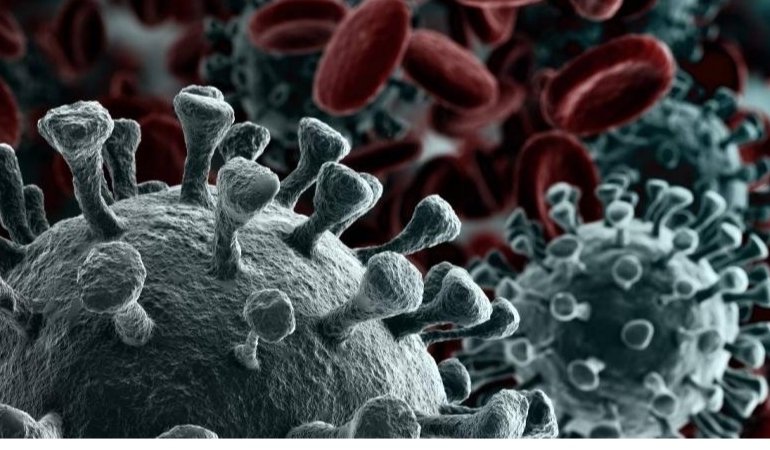 Bakteriler Virüslerden Nasıl Korunuyor?