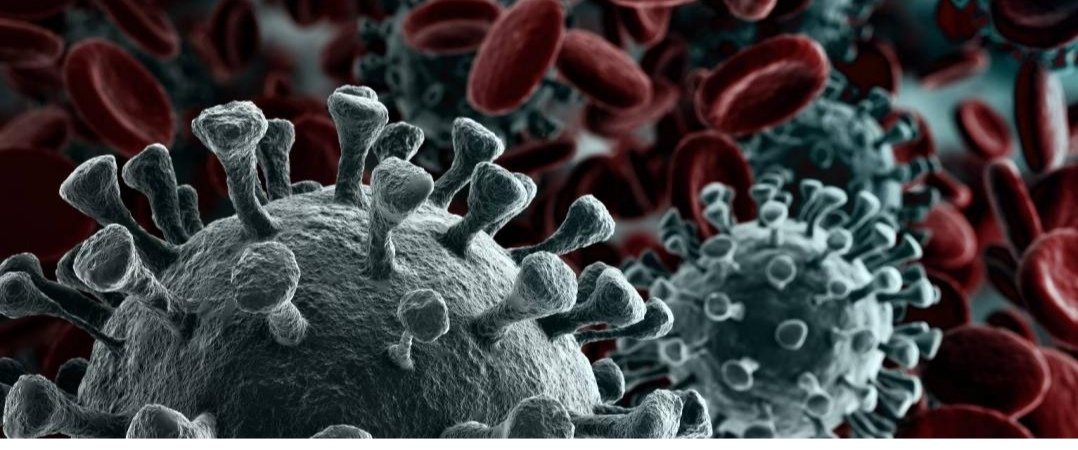 Screenshot_20221124_100256