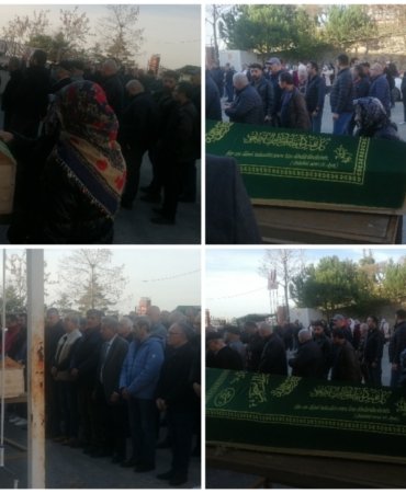 Collage_20221217_164432