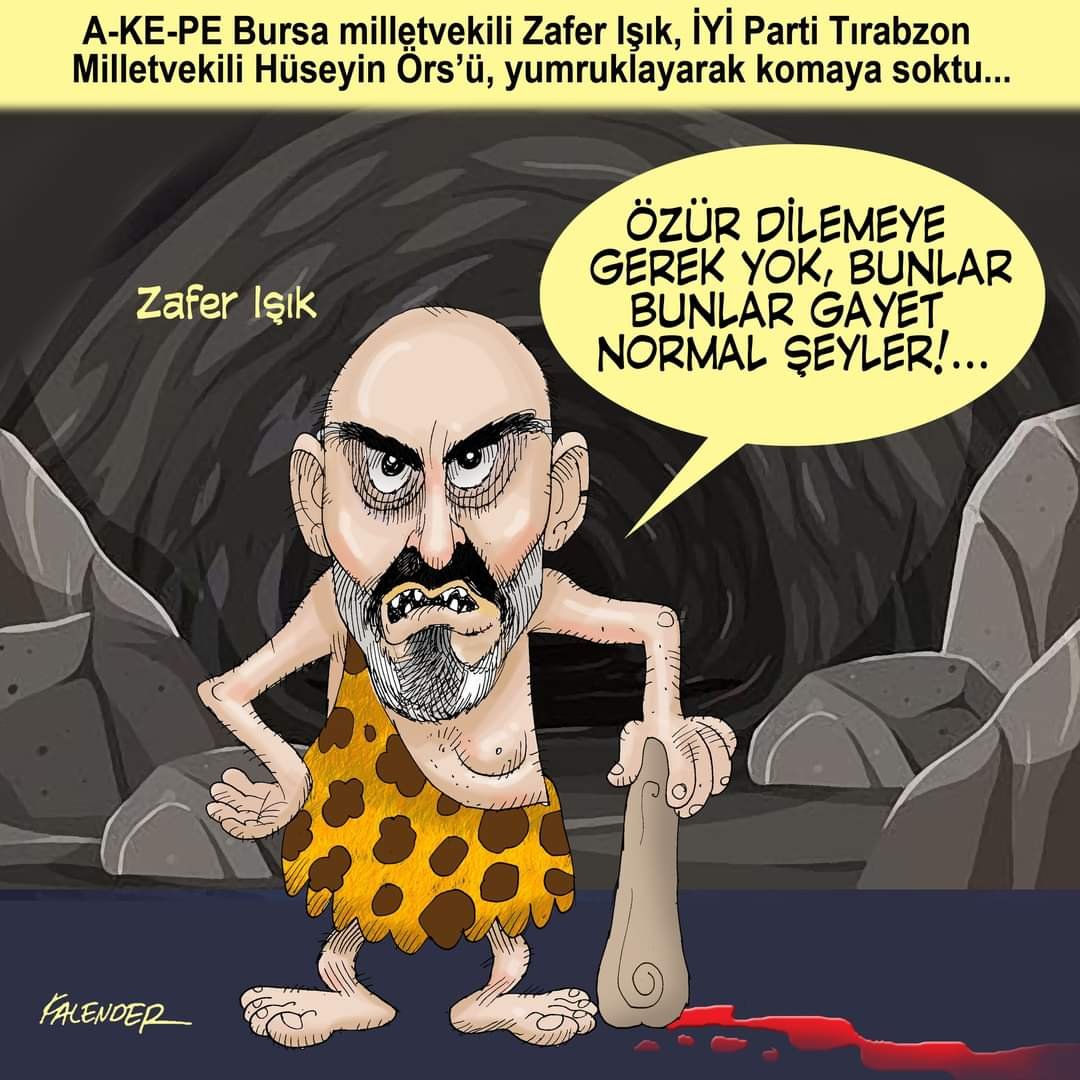 FB_IMG_1670351349723