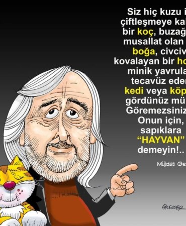 FB_IMG_1670582580698