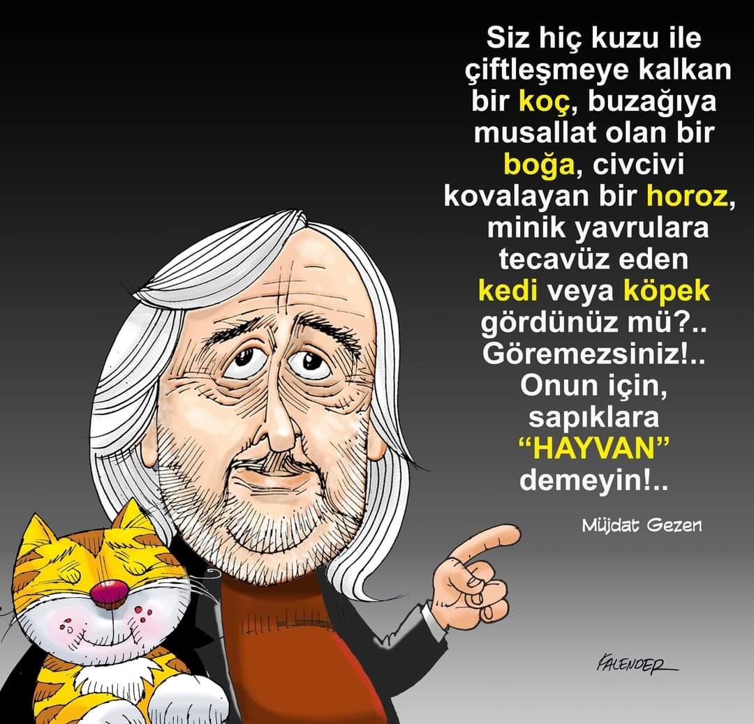 FB_IMG_1670582580698