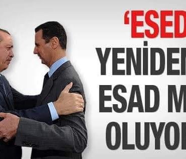 FB_IMG_1672384433089