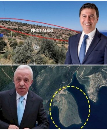 Collage_20230109_134014