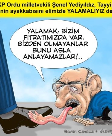 FB_IMG_1674630936864