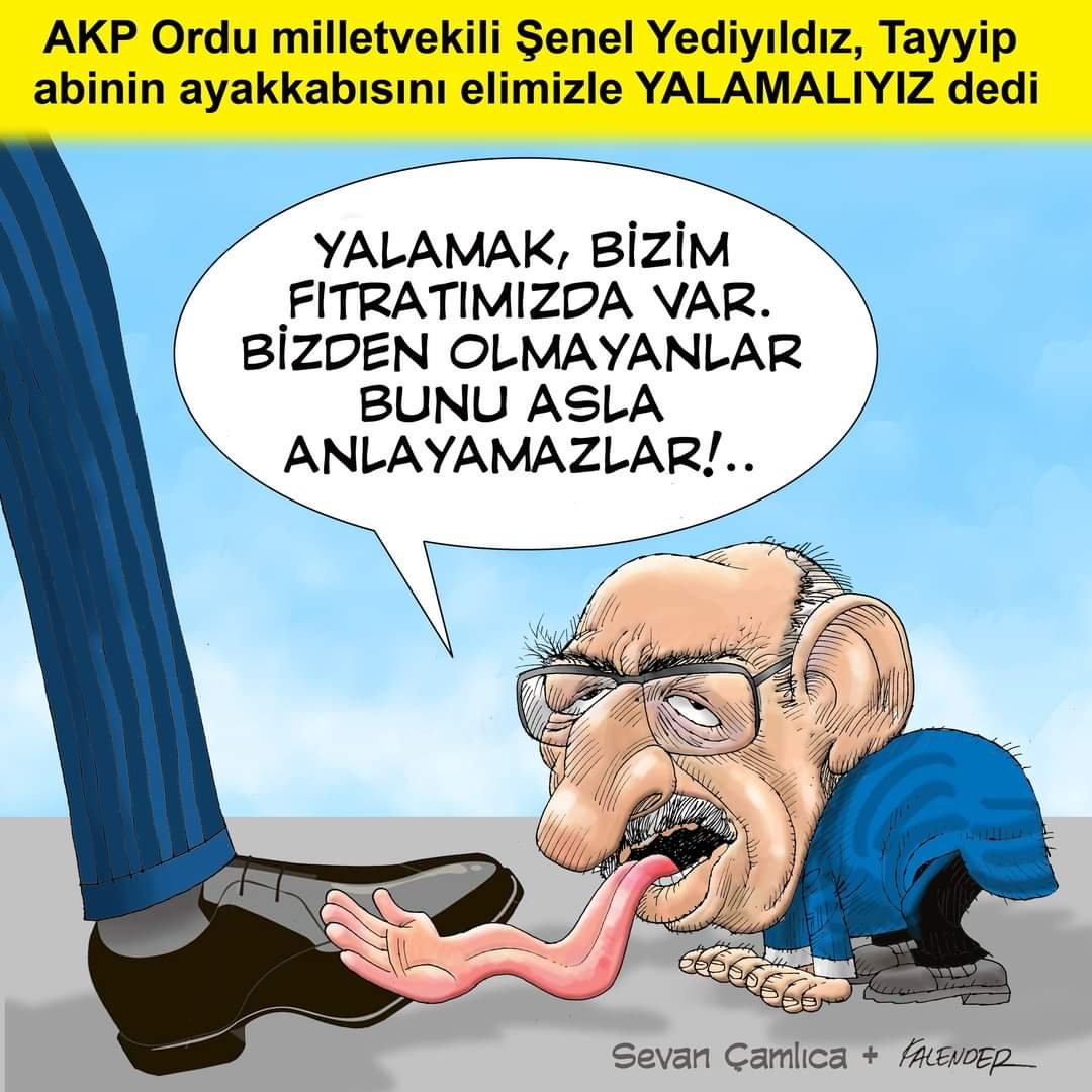 FB_IMG_1674630936864
