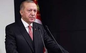 tayyip