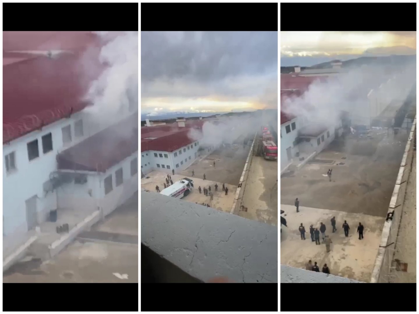 Collage_20230209_135220