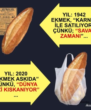FB_IMG_1675591846050