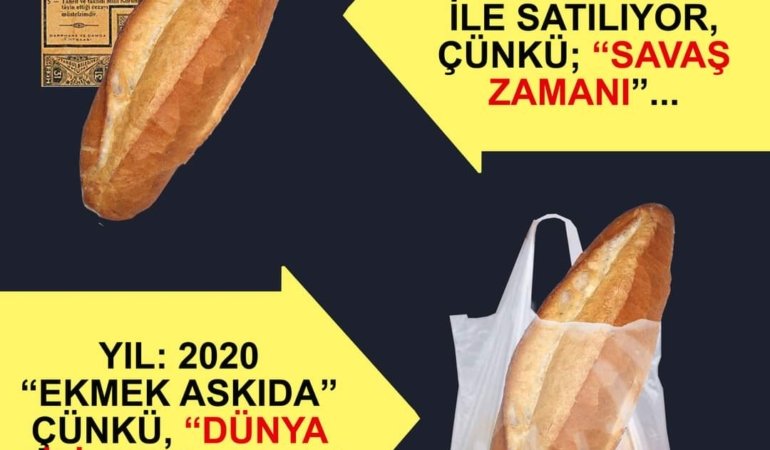 FB_IMG_1675591846050