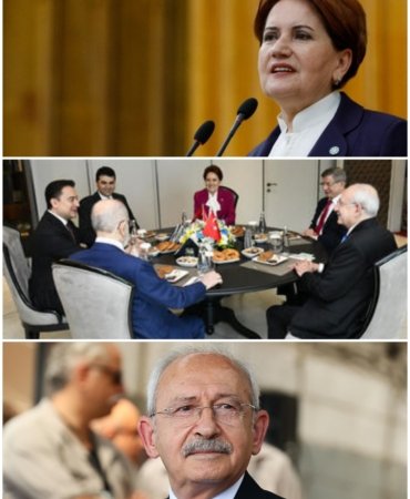 Collage_20230303_131906