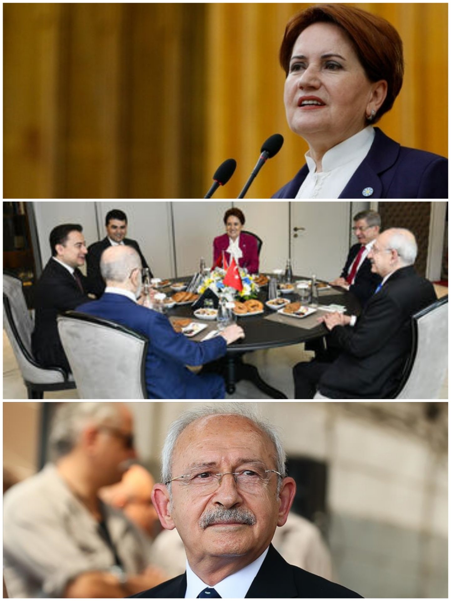 Collage_20230303_131906