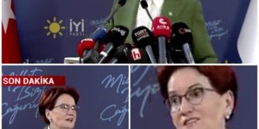 Collage_20230303_153029