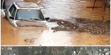 Collage_20230315_171151