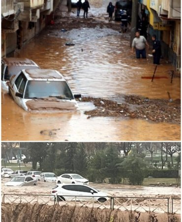 Collage_20230315_171151