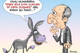 FB_IMG_1678999405865