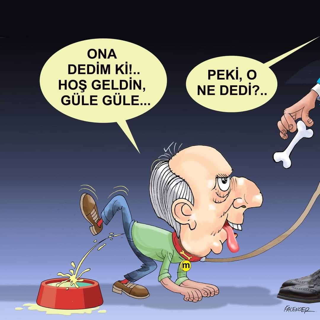 FB_IMG_1680173950109