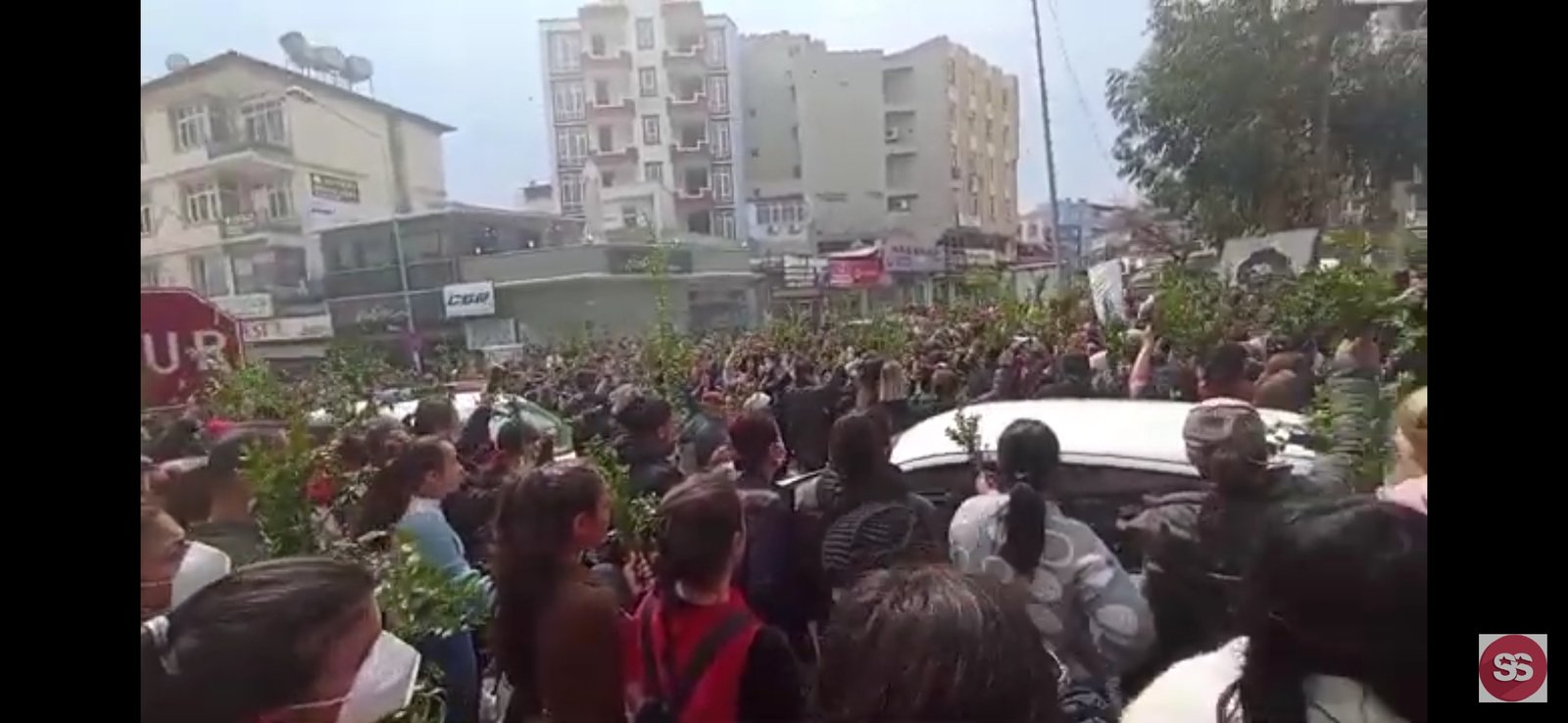 Screenshot_20230319_160310_com.google.android.youtube