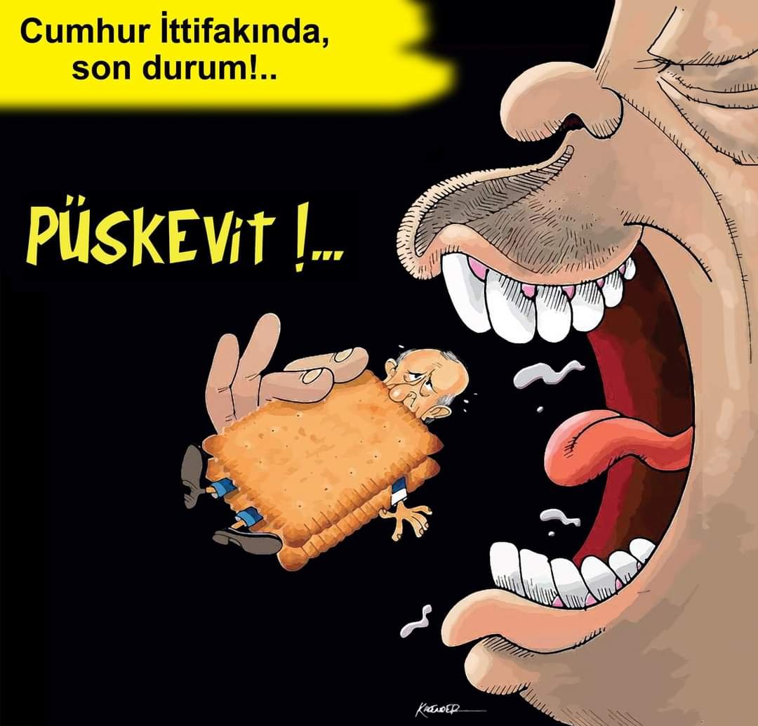 FB_IMG_1681049414985