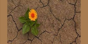 Umudu-Yok-Etmek-700x420