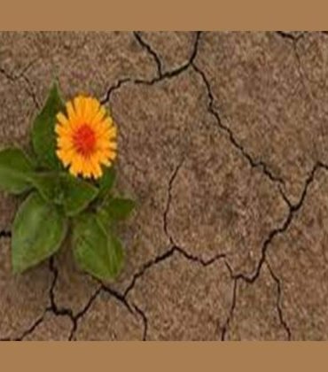 Umudu-Yok-Etmek-700x420