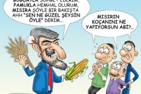 FB_IMG_1683125778920