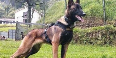 6958d480-09f9-11ee-b758-c904e88a8953