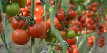 1e266c7f-1f9f-4940-9119-01017a8fffc3