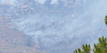 image_750x_64aa8964a7d22