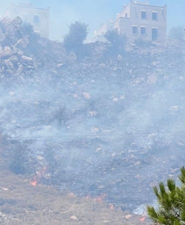 image_750x_64aa8964a7d22