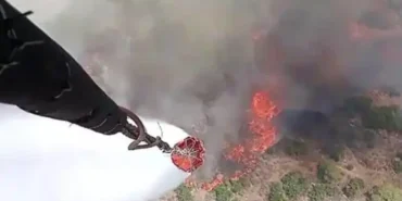 odatv_image_101__98a8aca37c7448