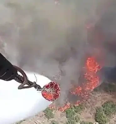 odatv_image_101__98a8aca37c7448