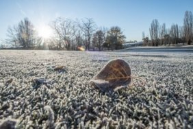 winter snow