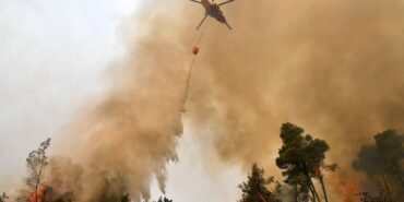 1045188894_86_0_1863_1333_1920x0_80_0_0_bf192e8961efd38efcbaac3a34b716d3