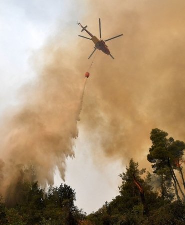 1045188894_86_0_1863_1333_1920x0_80_0_0_bf192e8961efd38efcbaac3a34b716d3