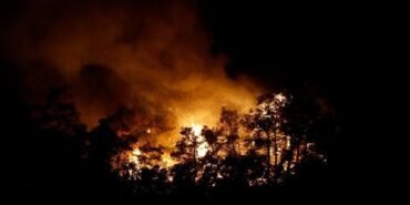 14235651824270002490