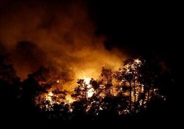 14235651824270002490