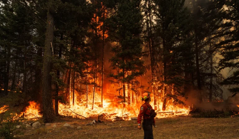 Kanada’da Orman Yangınları Nedeniyle OHAL İlan Edildi!