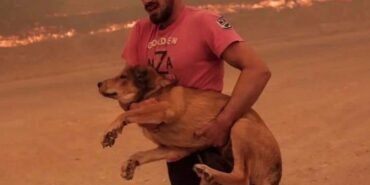 369996264_3619081818372179_9016403923341249324_n