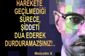 FB_IMG_1691169881394