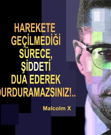 FB_IMG_1691169881394
