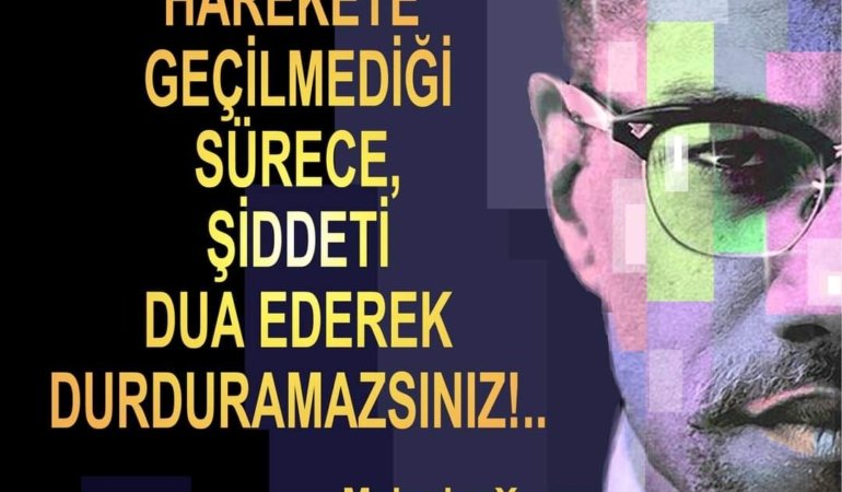 FB_IMG_1691169881394