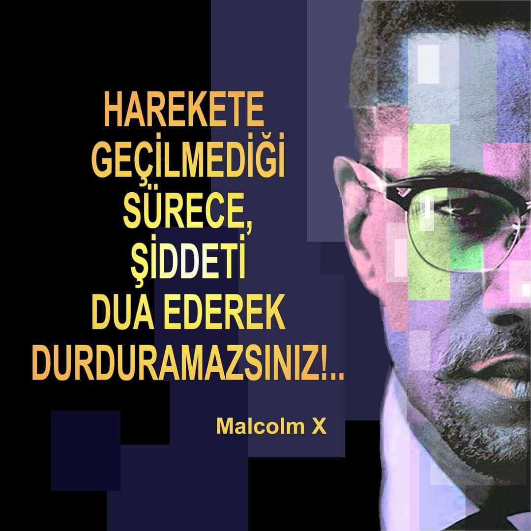 FB_IMG_1691169881394