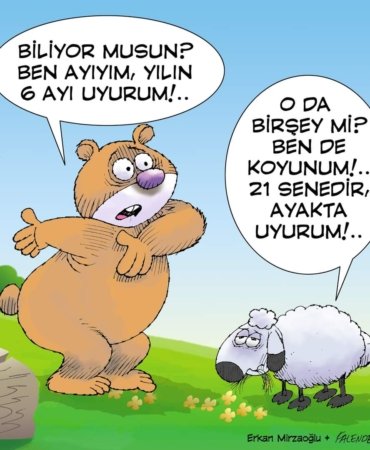 FB_IMG_1692031202321