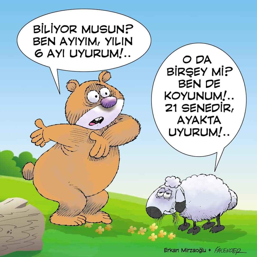 FB_IMG_1692031202321