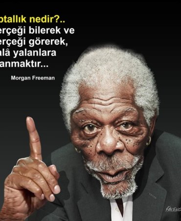 FB_IMG_1692436438106