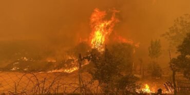 canakkale-orman-yangini-2096603