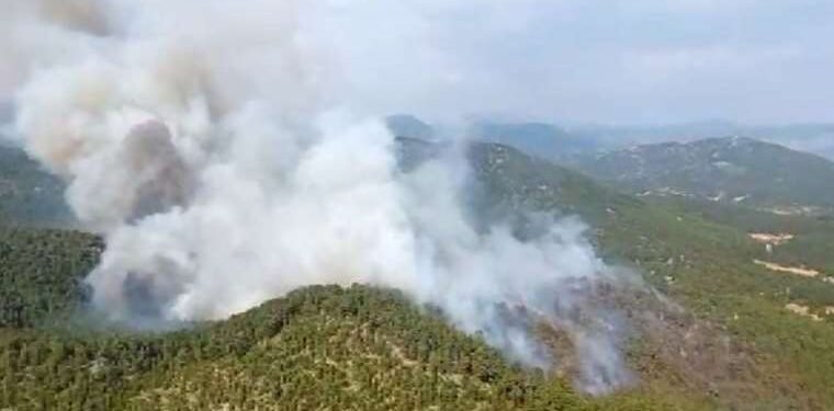 Antalya’da Orman Yangını