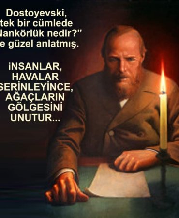 FB_IMG_1695124299379